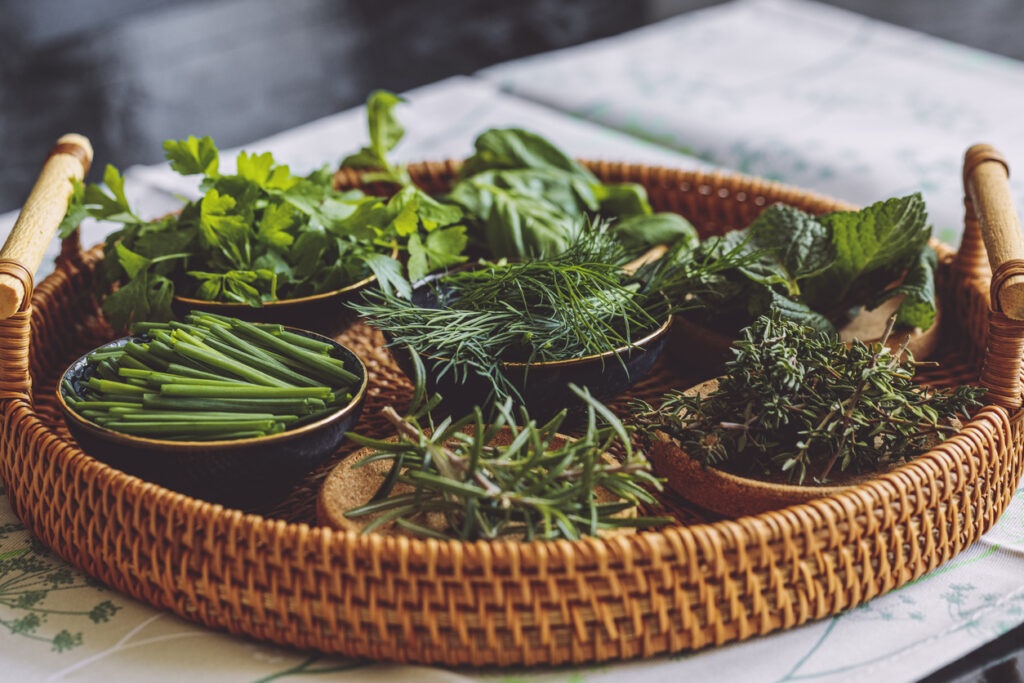 ciotoline con erbe aromatiche