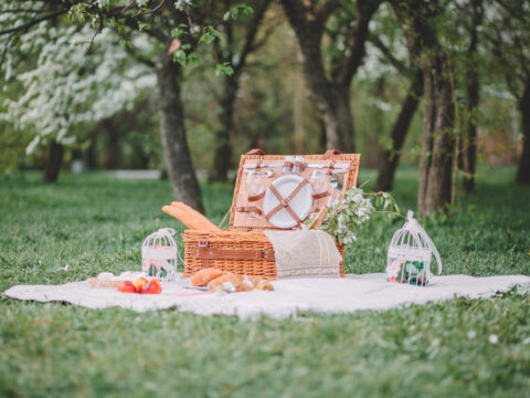 Picnic perfetto: gli accessori eleganti, pratici e colorati da avere