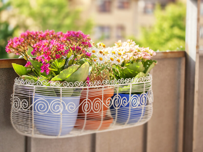 Balcone fiorito