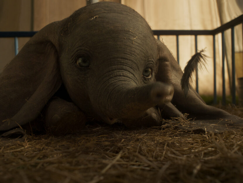 Dumbo 2019 Tim Burton Citazioni