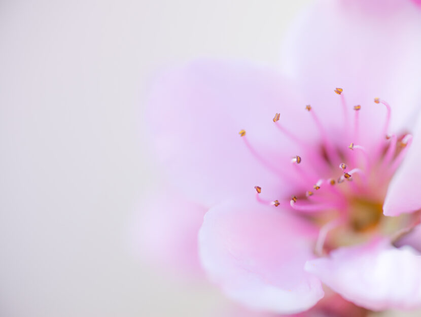 Frasi Sulla Bellezza E Citazioni Sul Bello Da Dedicare Donna Moderna