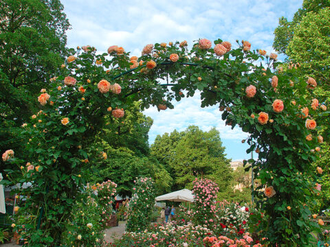 Dagli abiti al giardinaggio: w la stagione dei fiori