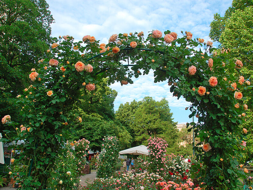 Uno scorcio di Orticola, ai Giardini Indro Montanelli di Milano. Foto di Anna Soldà