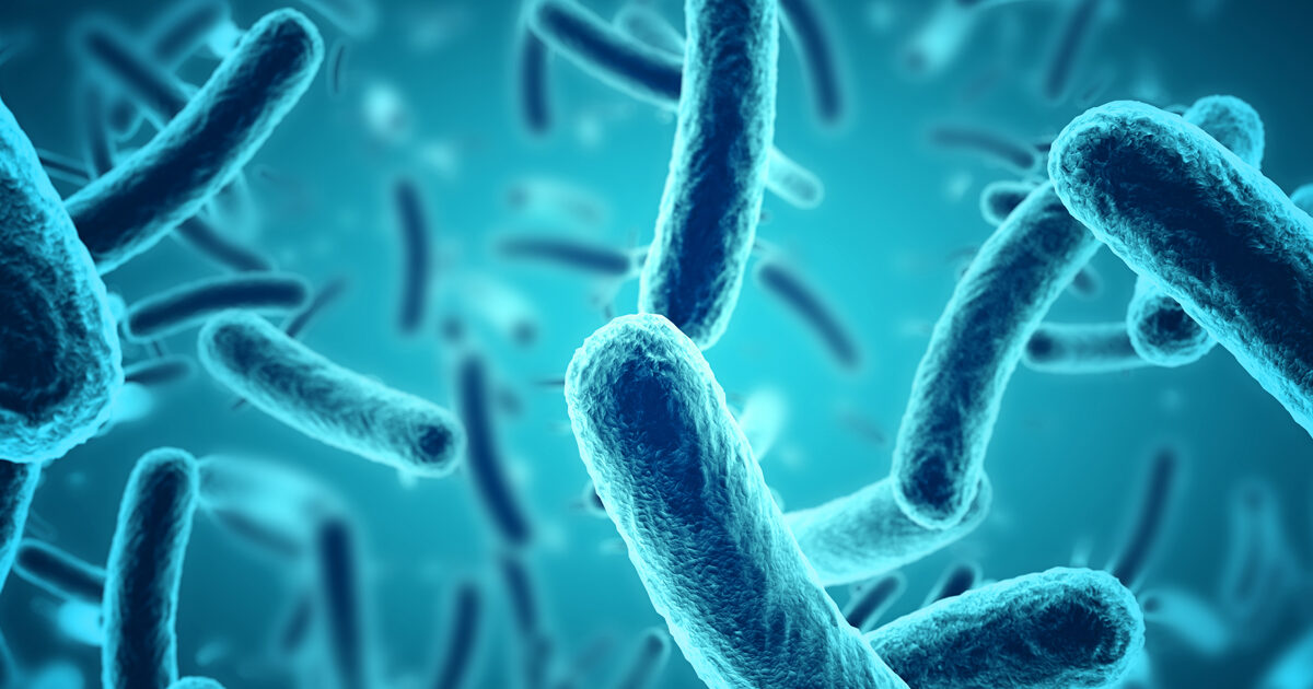 Inquinamento Indoor Cosa Significa E Come Combatterlo Donna Moderna