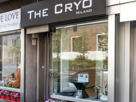 THE CRYO: crioterapia al servizio di bellezza e benessere