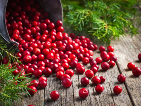 Mirtillo rosso o cranberry: un rimedio naturale per prevenire la cistite