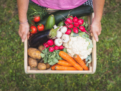 Come fare un orto nel giardino di casa