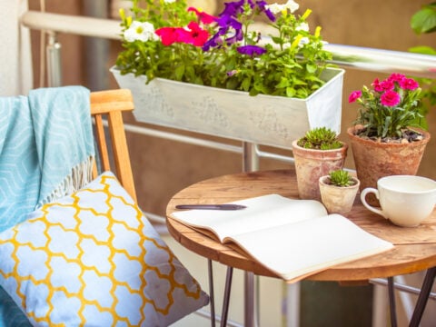 I fiori da balcone più belli per l'estate