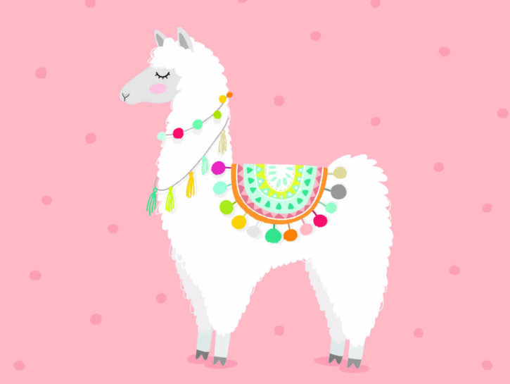 Lama is the new flamingo: la tendenza 