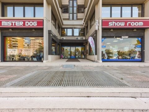 MISTER DOG: quattro showroom e un e-commerce al servizio del pet