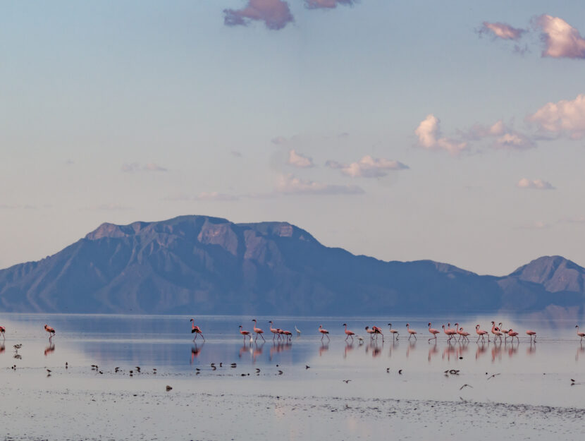 Lago Natron_Tanzania (1)