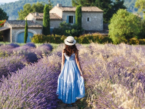 Tutte le straordinarie proprietà della lavanda e come usarla