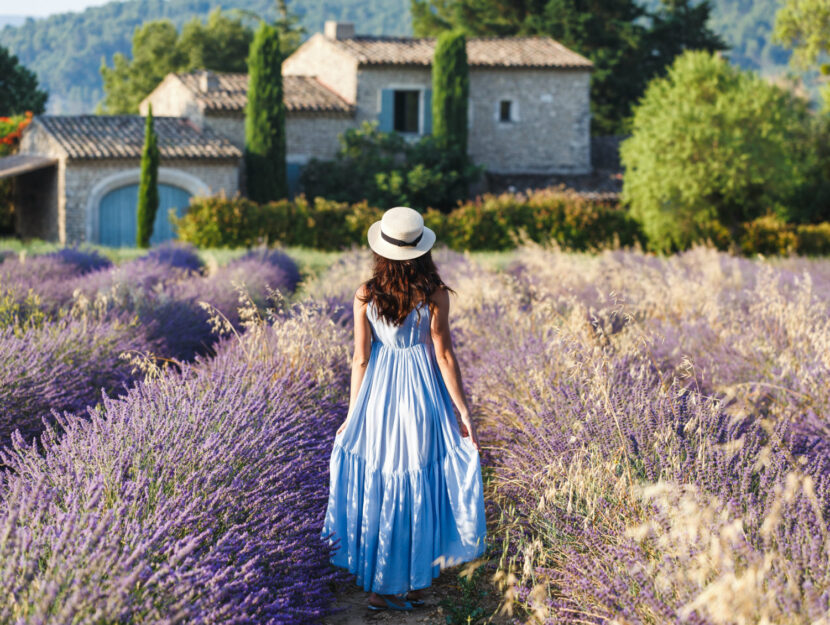 campo di lavanda