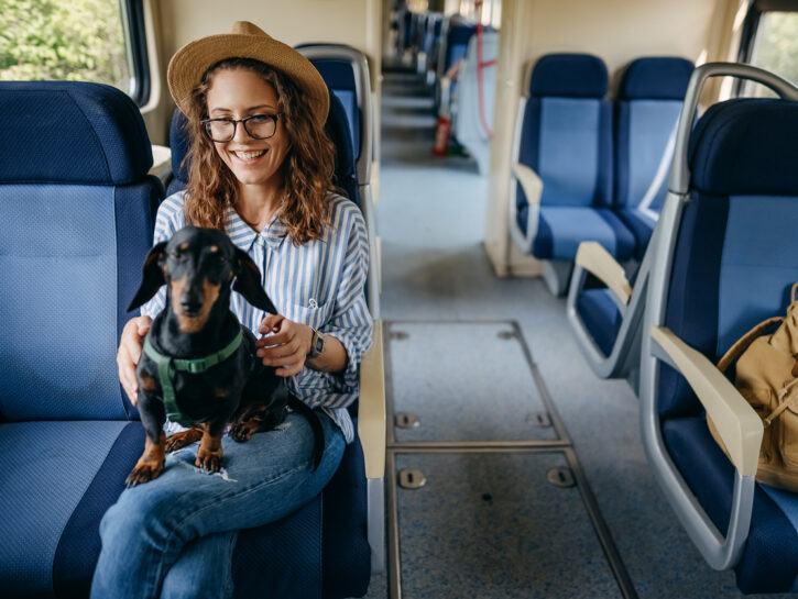Come far viaggiare cani e gatti sui mezzi di trasporto