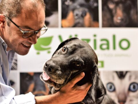 Vizialo.it: alimentazione e prodotti di qualità per quattro zampe