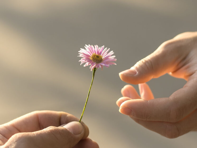 praticare bonta fiore