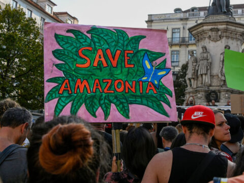 Amazzonia: stop alla guerra contro la natura