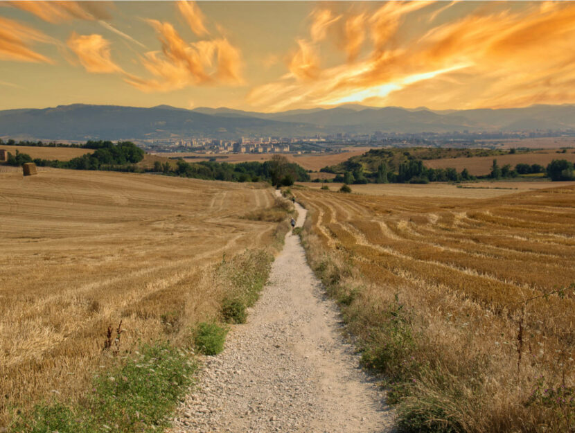 cammino di santiago