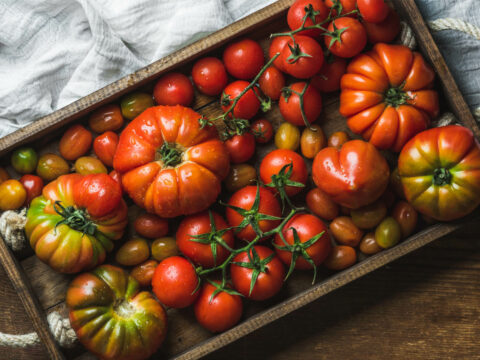 10 ricette veloci e super estive con il pomodoro fresco