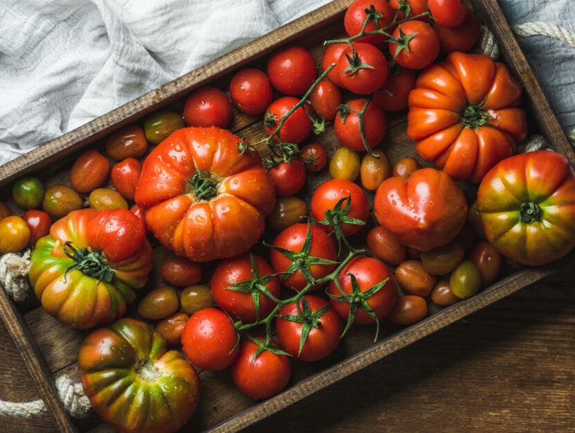 ricette con pomodoro fresco