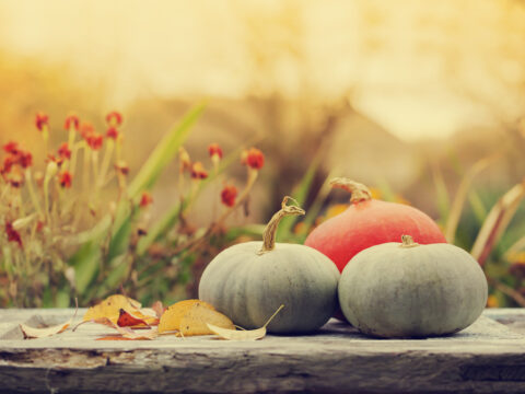 L'Autunno dalla A alla Z: affrontiamo ora legale e primi freddi col sorriso