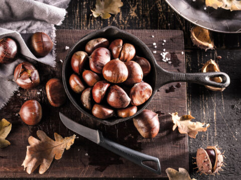 Castagne e marroni: perché il frutto simbolo dell’autunno fa così bene