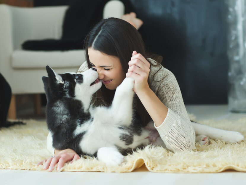 quando costa adottare cane