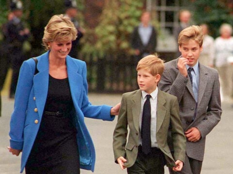 Harry vs William: quello che Diana non avrebbe voluto