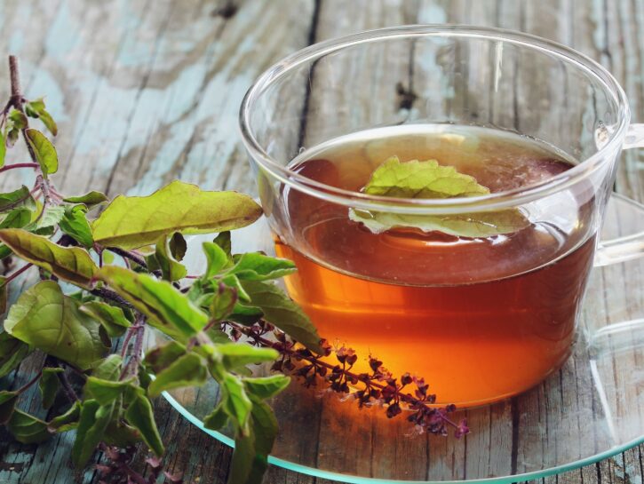 Tulsi: scopri proprietà e benefici del basilico sacro dell'India