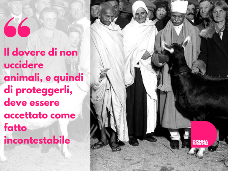 Frasi Gandhi Citazioni Piu Belle Su Pace Non Violenza Animali Di Mahatma Donna Moderna