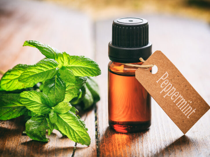 Come realizzare l'olio essenziale alla menta