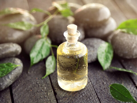 Tea Tree Oil: 7 modi per usarlo