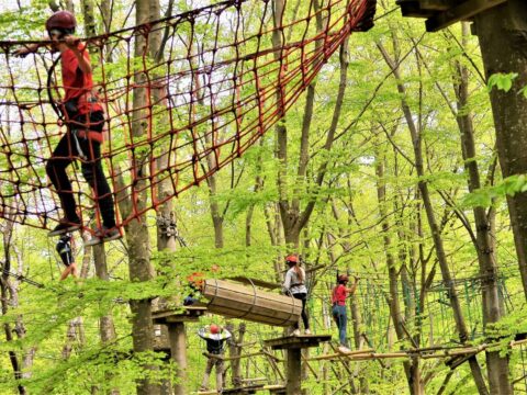 Cerwood, il primo e più grande parco avventura in Italia