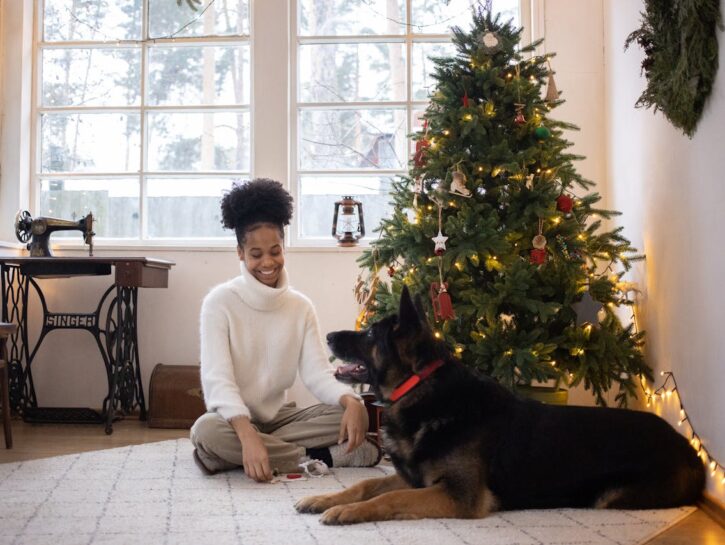 Natale a prova di animali: l’albero perfetto per chi ha un cane o un gatto