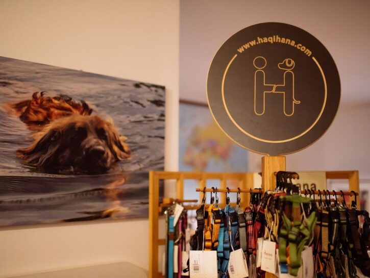 Haqihana, comfort e benessere per il proprio cane