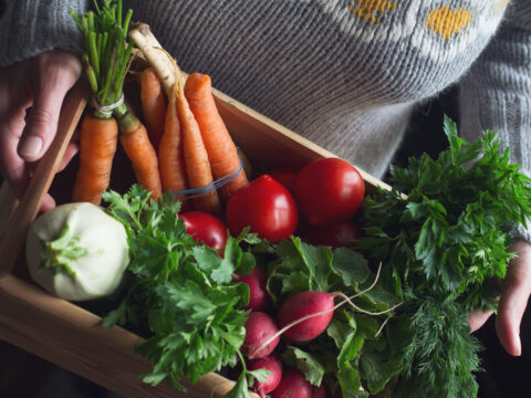 Frutta e verdura idroponica: arrivano i cibi del futuro