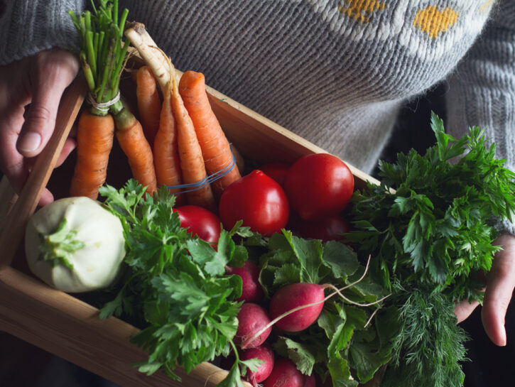 Frutta e verdura idroponica: arrivano i cibi del futuro