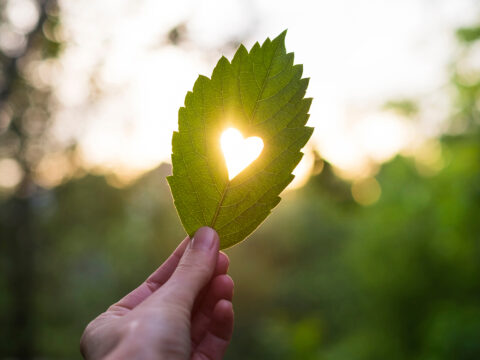 San Valentino: il giorno dell’amore… anche per il Pianeta