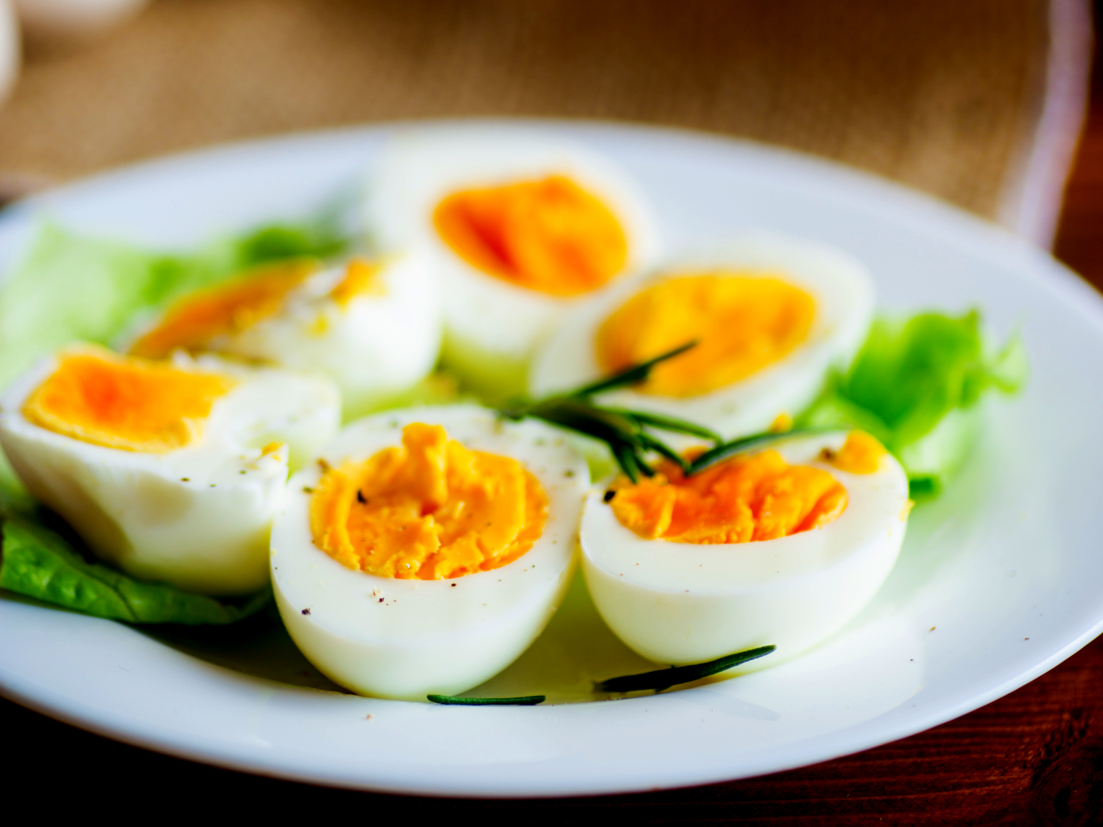 FFJTS Piroscafo a microonde 2 uova per mantenere fresco il gusto dellumidità 