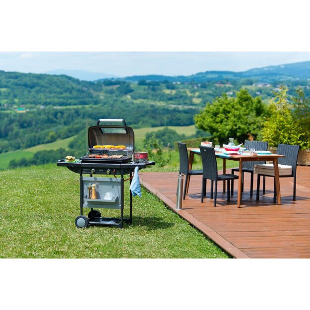 Scegli il Miglior Barbecue Elettrico per le Tue Grigliate