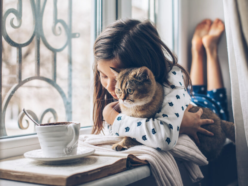 Bambina gatto alla finestra