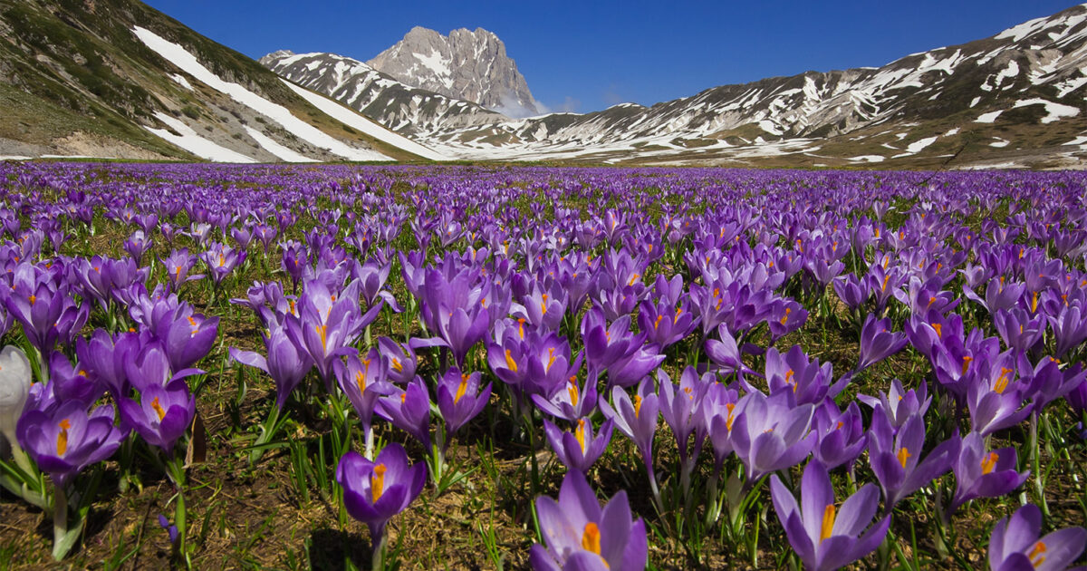 Giardini Fioriti E Fioriture In Italia 10 Luoghi Spettacolari Donna Moderna