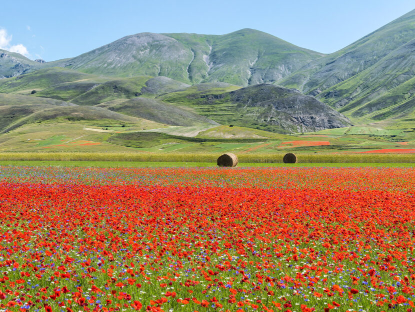 Giardini Fioriti E Fioriture In Italia 10 Luoghi Spettacolari Donna Moderna