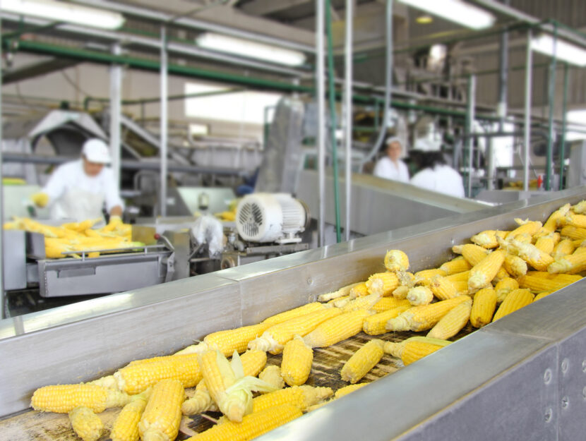 Industria alimentare mais