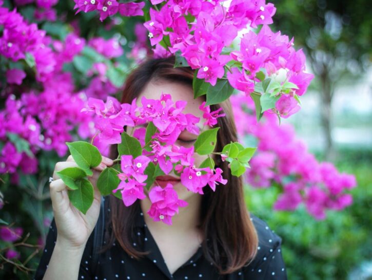 I principali fiori estivi da giardino