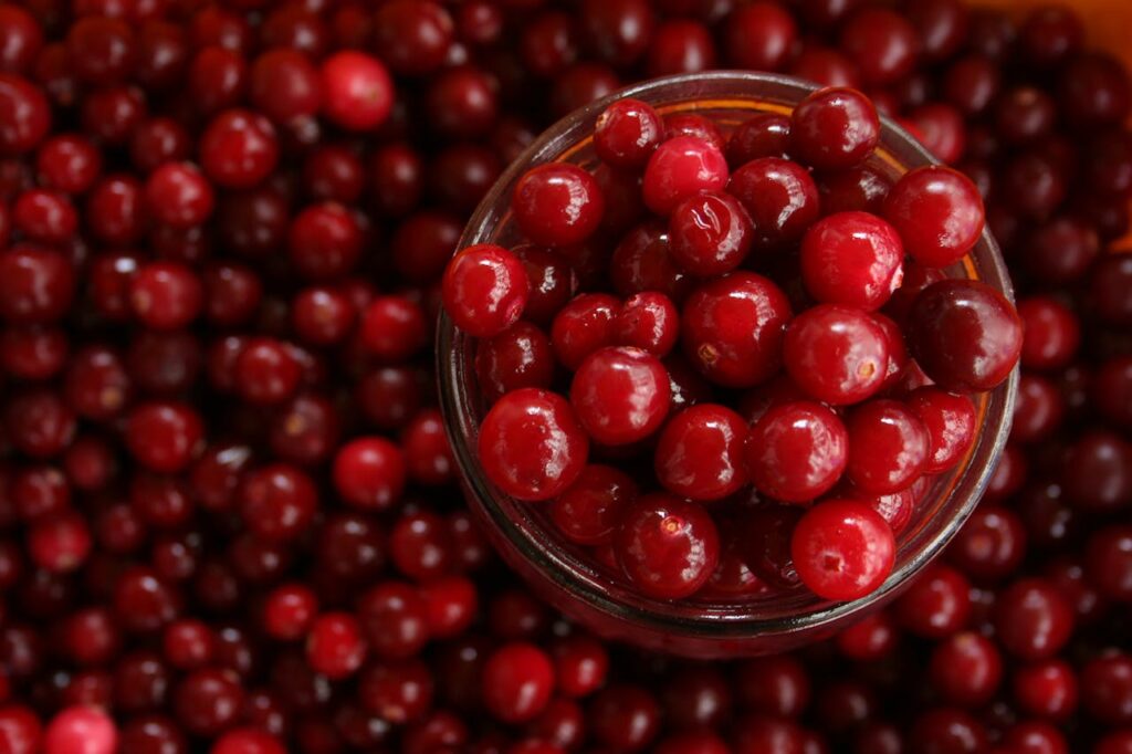 cranberries in una ciotola
