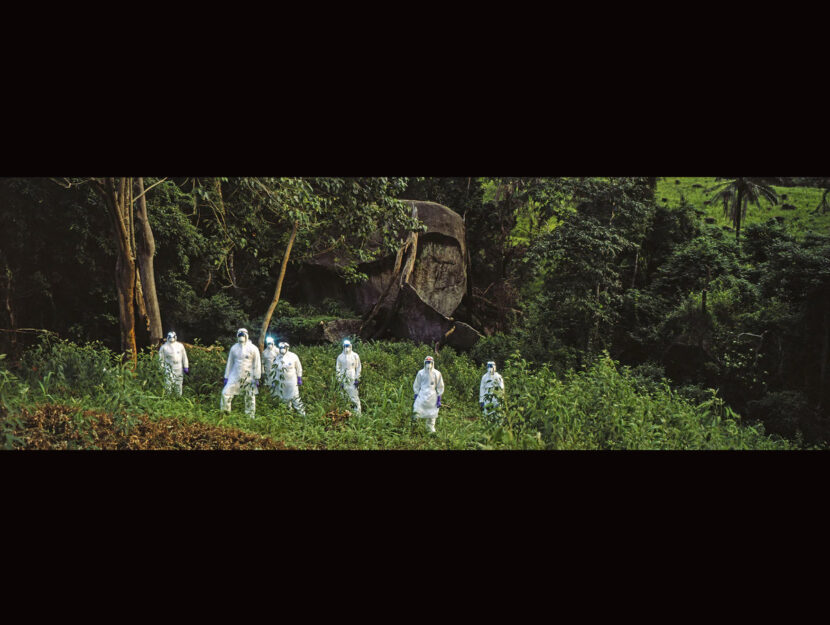 Ricercatori foresta pandemia