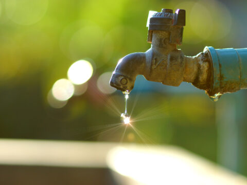 10 piccoli gesti ecologici per iniziare a vivere green
