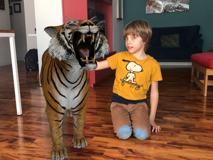 Come fare apparire un animale 3D in casa tua