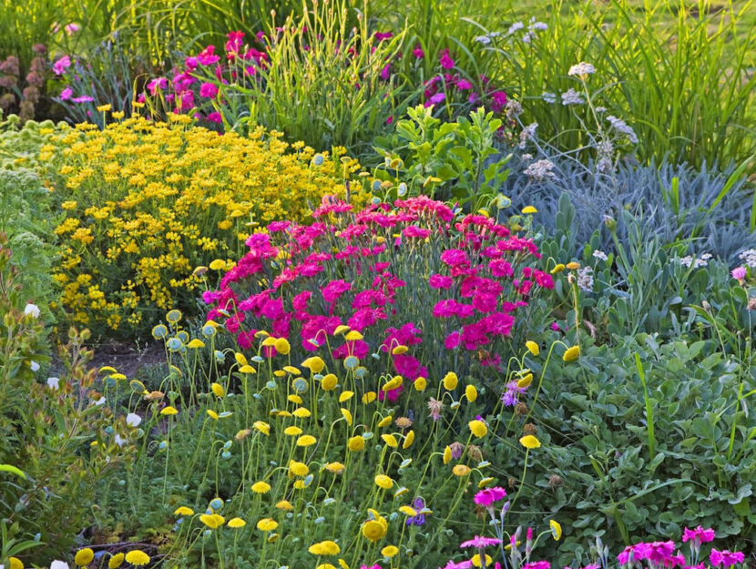 Giardino Costa Azzurra